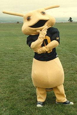 This is the Sammy Slug mascot in costume, standing on the UCSC playing field. They look thoughtful and rub their chin.